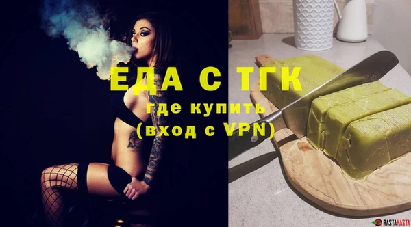 индика Краснотурьинск