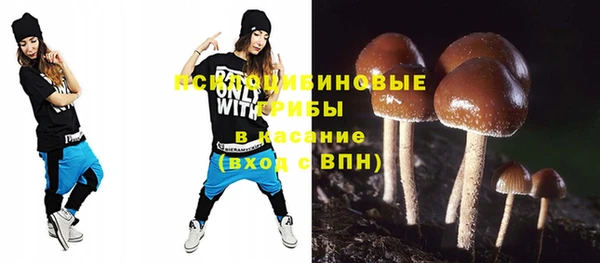 мдпв Краснослободск