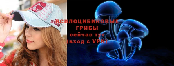 мдпв Краснослободск