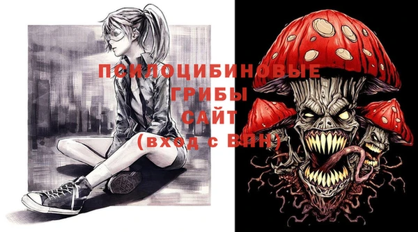 PSILOCYBIN Козловка