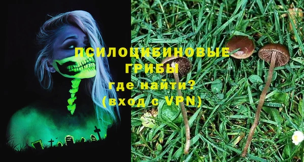 индика Краснотурьинск