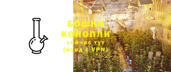 мдпв Краснослободск
