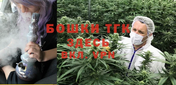 мдпв Краснослободск