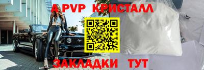 спиды Кимры