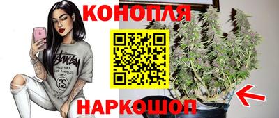 гидропоника Коммунар