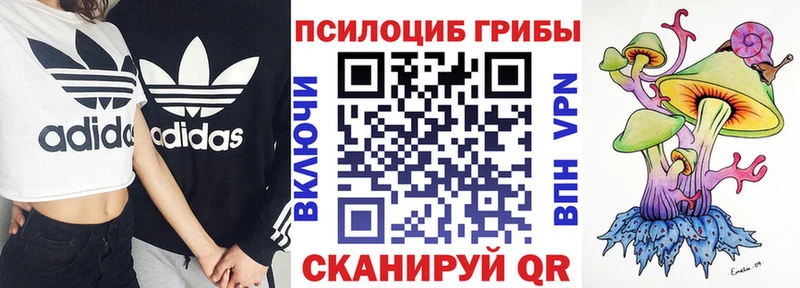 где можно купить наркотик  Лесной  kraken сайт  Псилоцибиновые грибы MAGIC MUSHROOMS 