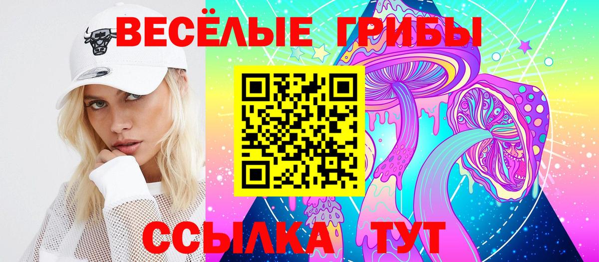 Псилоцибиновые грибы прущие грибы  дарнет шоп  Лесной  Псилоцибиновые грибы GOLDEN TEACHER  Вход с VPN 